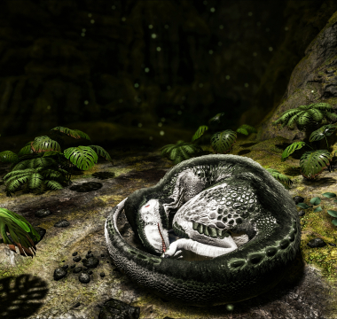 ARK: Survival Evolved